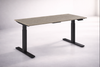 DeskYou Pro T-Frame – Elektrisch Zit-Sta Bureau